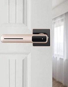 Fingerprint Door Lock, Smart Door Lock, Electronic Door Lock for Office & Home (Rose Gold)